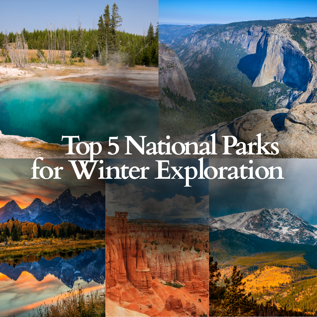 Top 5 National Parks for Winter Exploration & Adventure