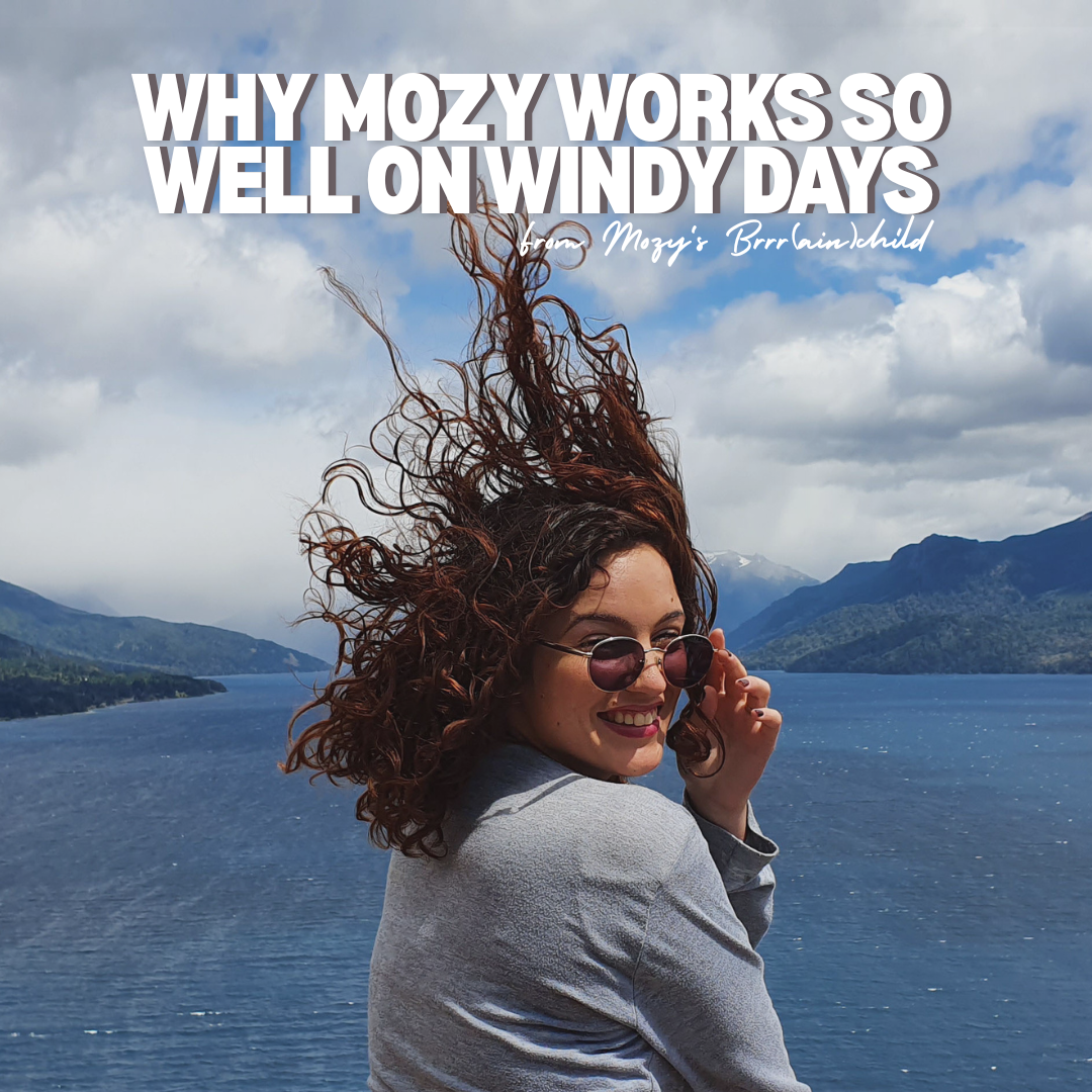From Mozy's Brrr(ain)child: Why Mozy Works So Well On Windy Days