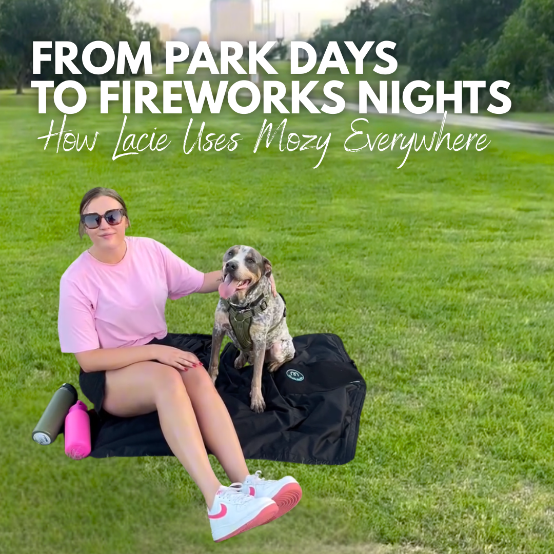 From Park Days to Fireworks Nights: How Lacie Uses Mozy Everywhere