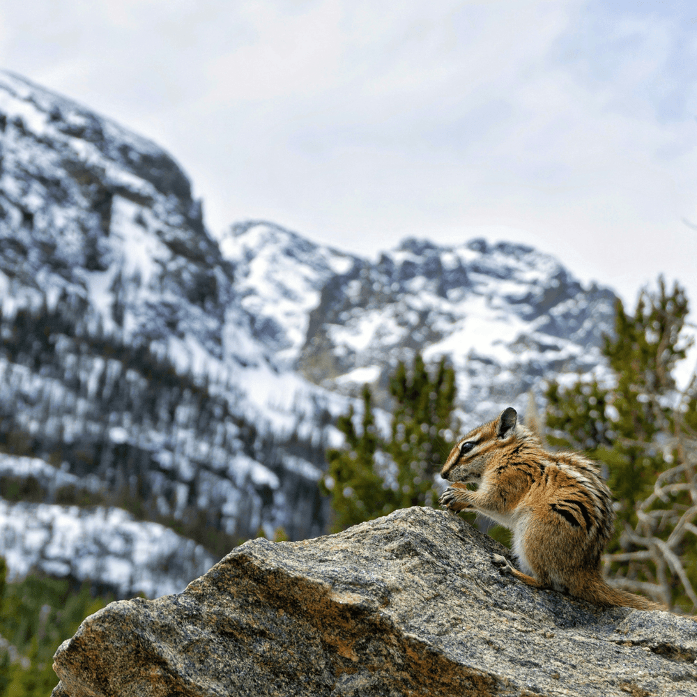Best National Parks for Fall - Get The Mozy 